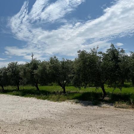 Il Casale Del Nonno Armando Villa Torrevecchia Teatina Eksteriør billede